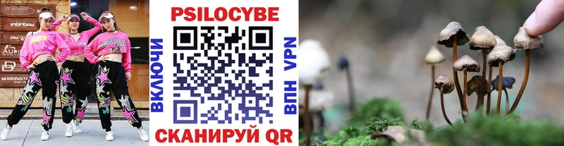 Галлюциногенные грибы мухоморы  Инсар 